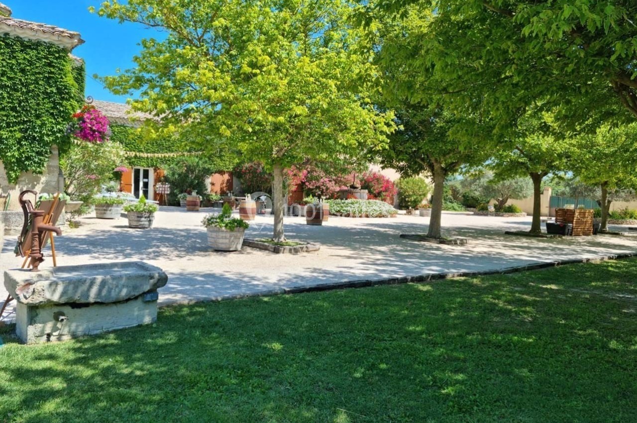 Cour ensoleillée avec arbres, pelouse, pots de fleurs et bâtiments en pierre aux façades végétalisées.