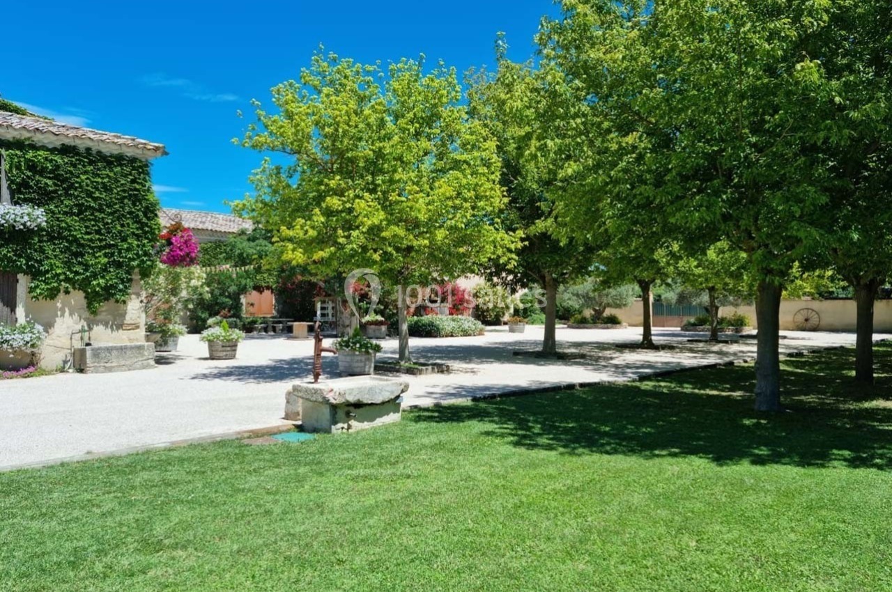 Cour ensoleillée avec pelouse, arbres, bâtiments en pierre couverts de végétation et fleurs colorées.