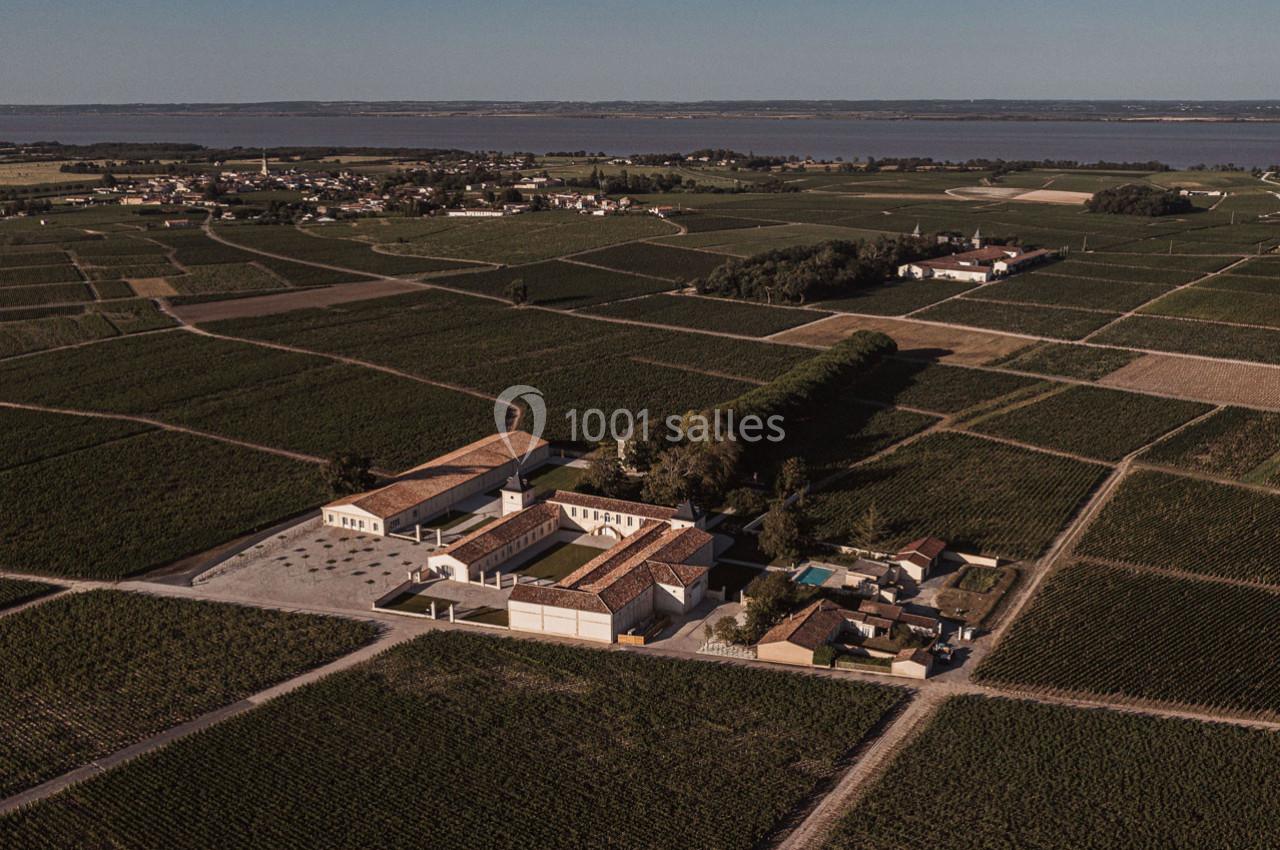 Vue aérienne d'un domaine viticole entouré de vignes, avec un fleuve visible à l'horizon.