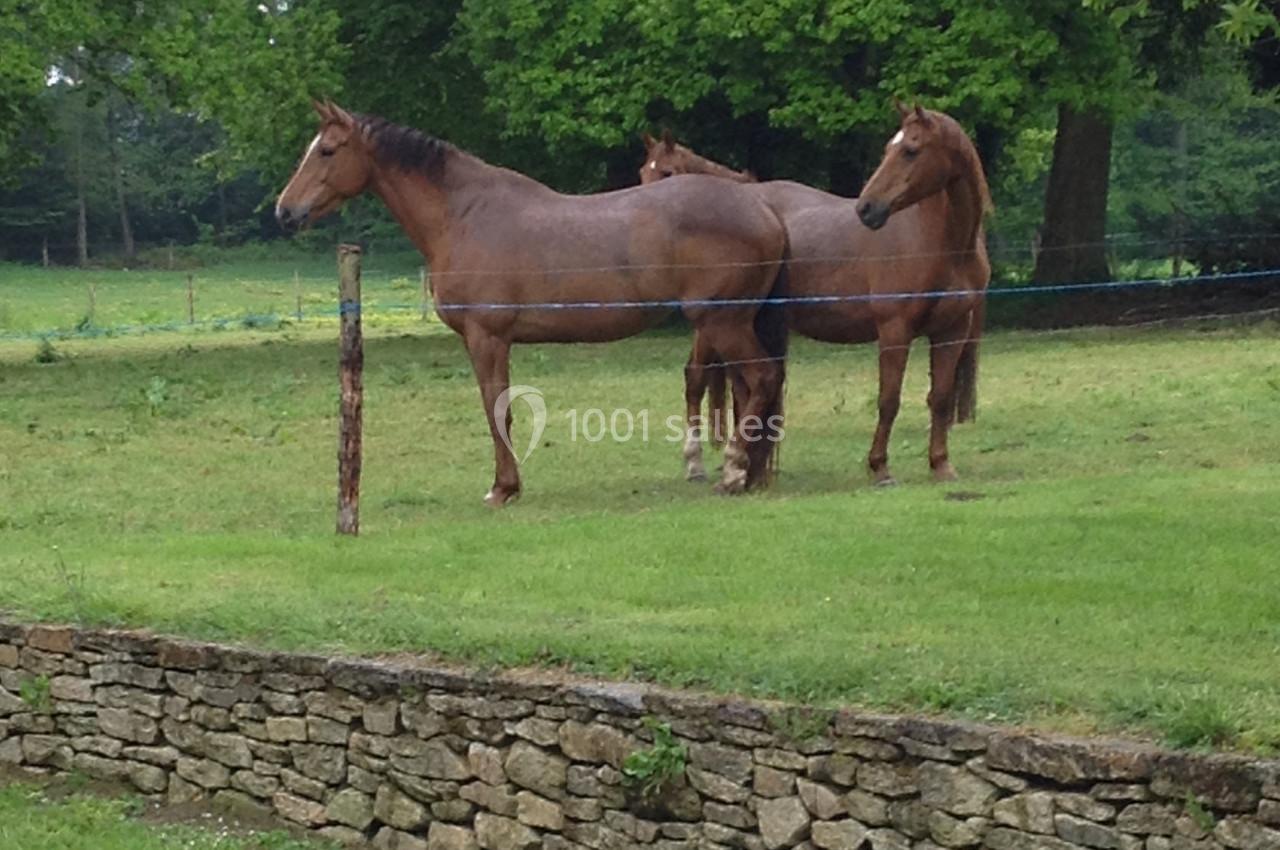 Location salle Buléon (Morbihan) - Domaine de la Ferrière #7