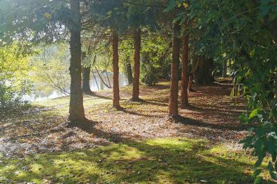 Location salle Buléon (Morbihan) - Domaine de la Ferrière #32