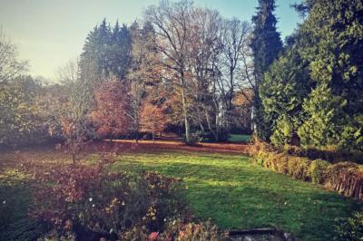 Location salle Buléon (Morbihan) - Domaine de la Ferrière #25