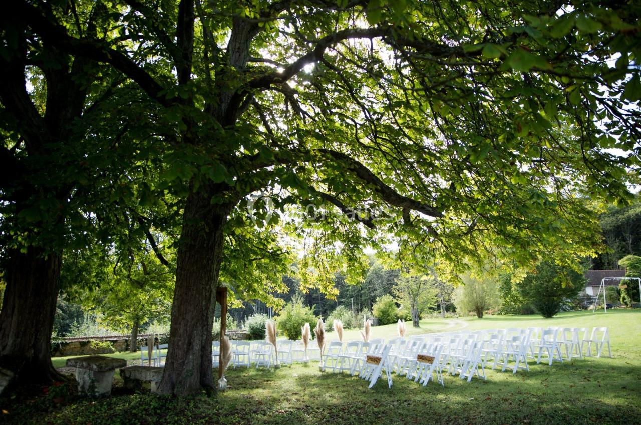 Chaises blanches disposées en rangées sous de grands arbres dans un jardin verdoyant, préparées pour un événement en plein…