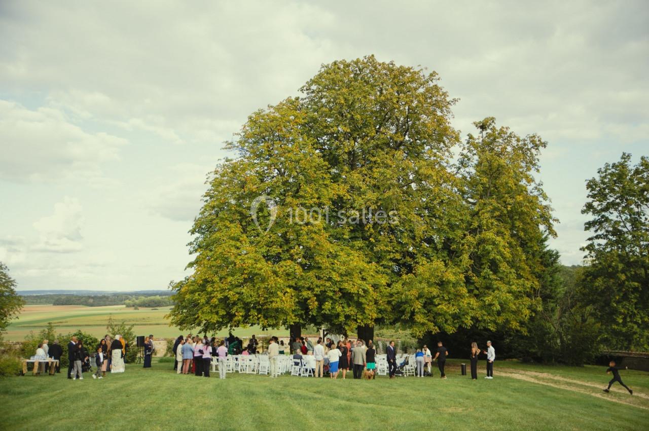 Groupe de personnes rassemblées en plein air sous un grand arbre dans un paysage champêtre.