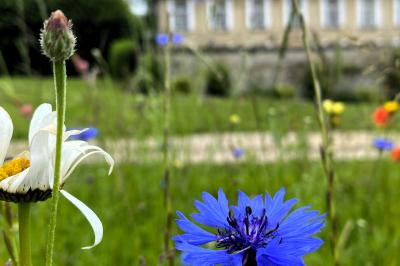 Deux verres de cocktail bleu posés sur le bord d'une piscine, avec une serviette blanche enroulée à côté.