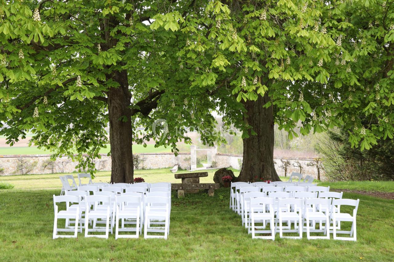 Chaises blanches disposées en rangées sous deux grands arbres pour une cérémonie en plein air.