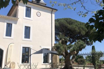 Façade d'un bâtiment clair avec une terrasse aménagée, un grand arbre et un ciel bleu en arrière-plan.