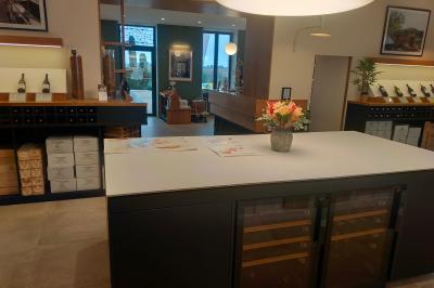 Façade d'un bâtiment clair avec une terrasse aménagée, un grand arbre et un ciel bleu en arrière-plan.