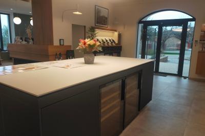 Façade d'un bâtiment clair avec une terrasse aménagée, un grand arbre et un ciel bleu en arrière-plan.