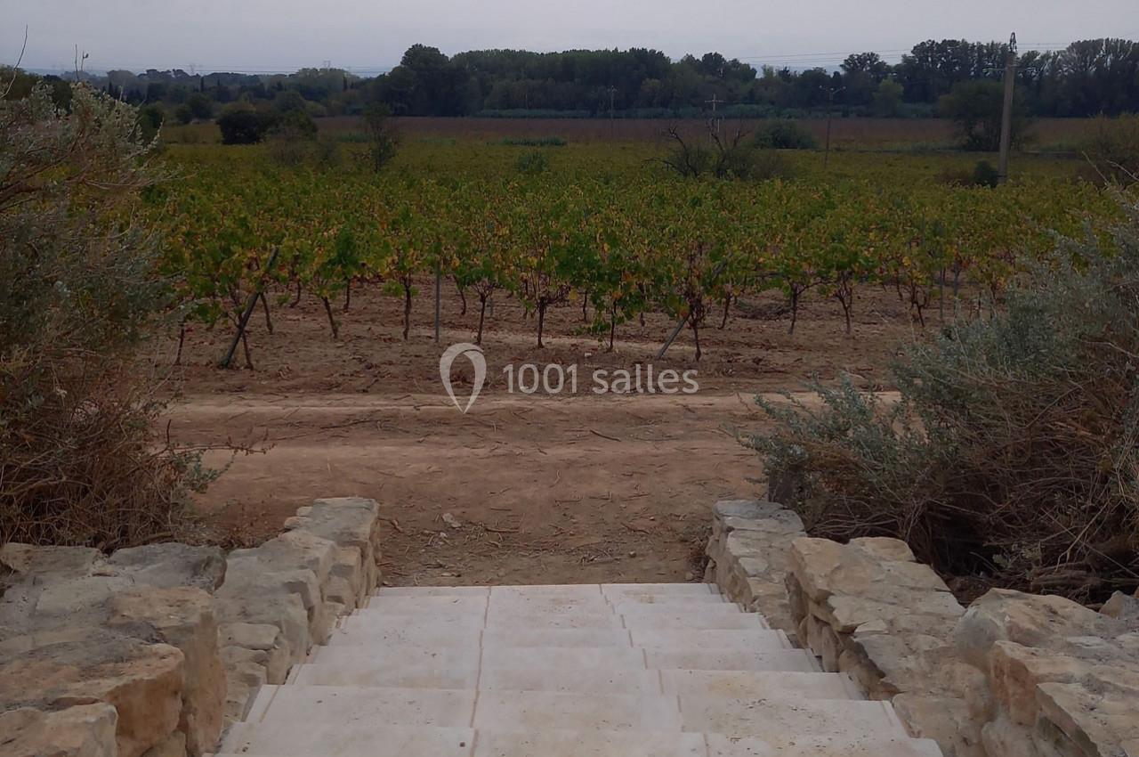 Location salle Rieux-Minervois (Aude) - Domaine Saint Augustin  #15
