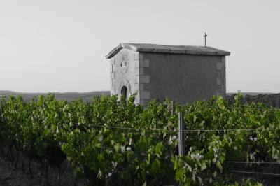 Location salle Rieux-Minervois (Aude) - Domaine Saint Augustin  #15