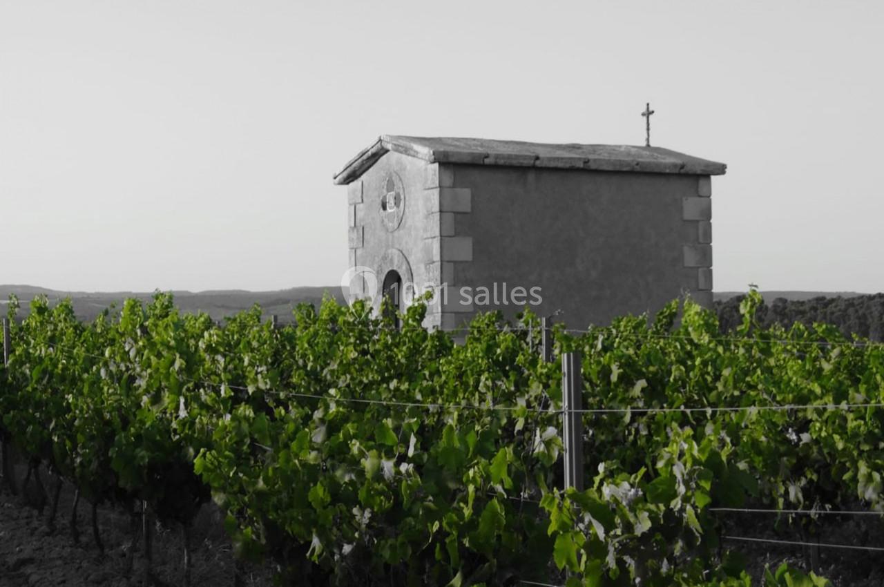 Location salle Rieux-Minervois (Aude) - Domaine Saint Augustin  #13
