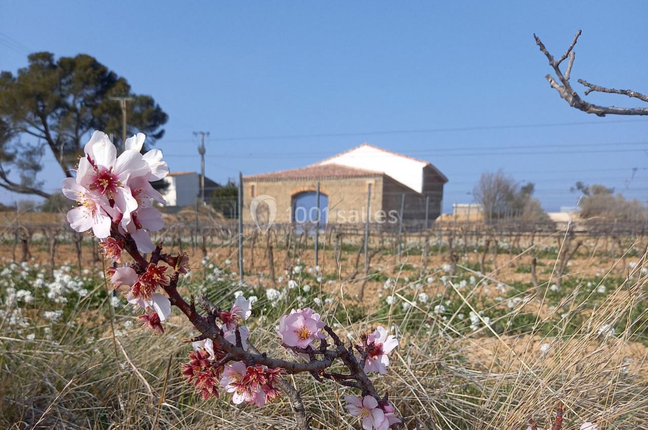 Location salle Rieux-Minervois (Aude) - Domaine Saint Augustin  #12