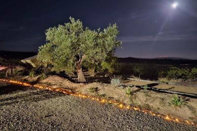 Location salle Rieux-Minervois (Aude) - Domaine Saint Augustin  #15