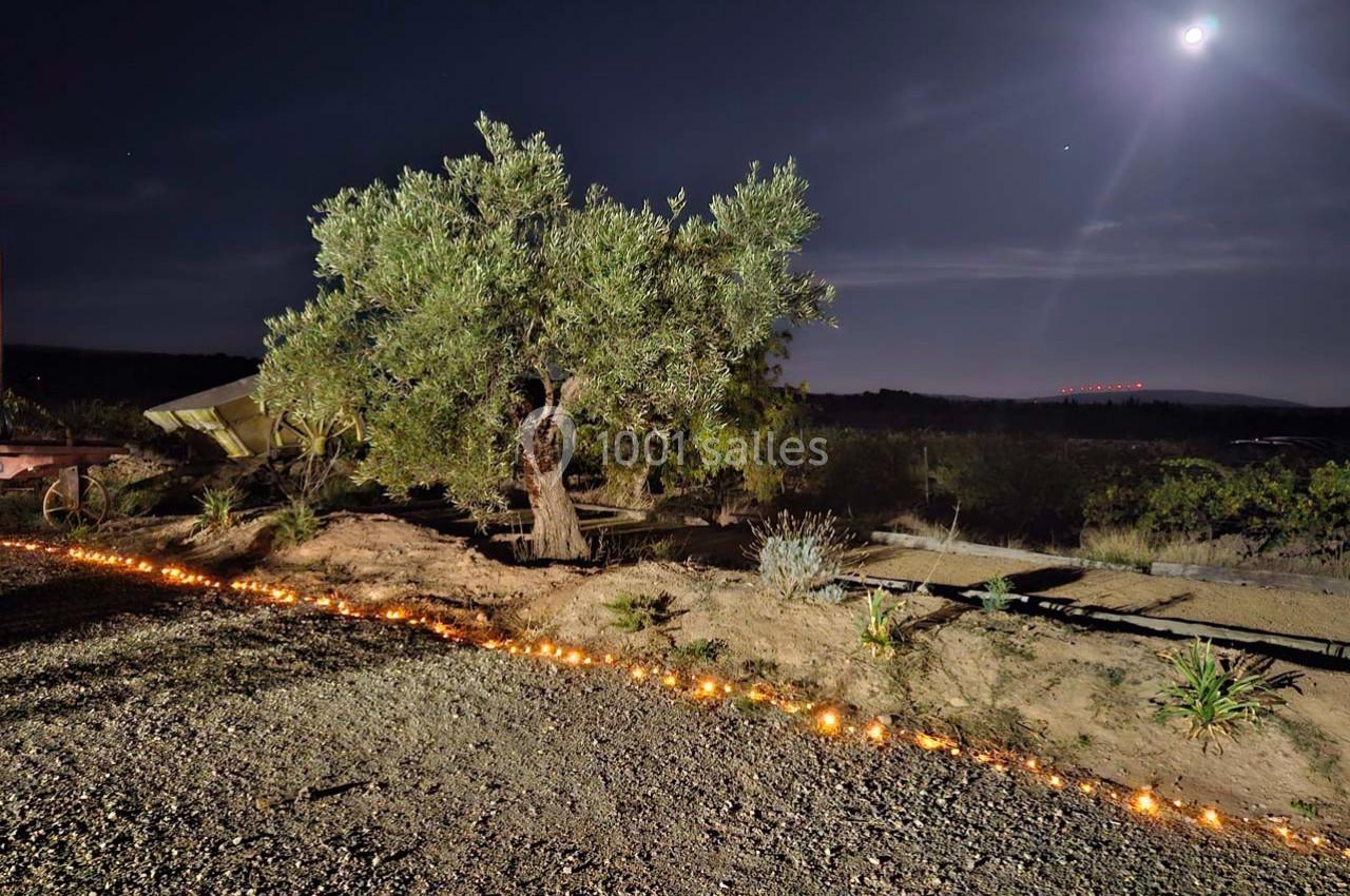 Location salle Rieux-Minervois (Aude) - Domaine Saint Augustin  #7