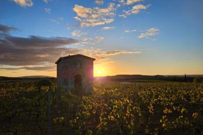 Location salle Rieux-Minervois (Aude) - Domaine Saint Augustin  #15