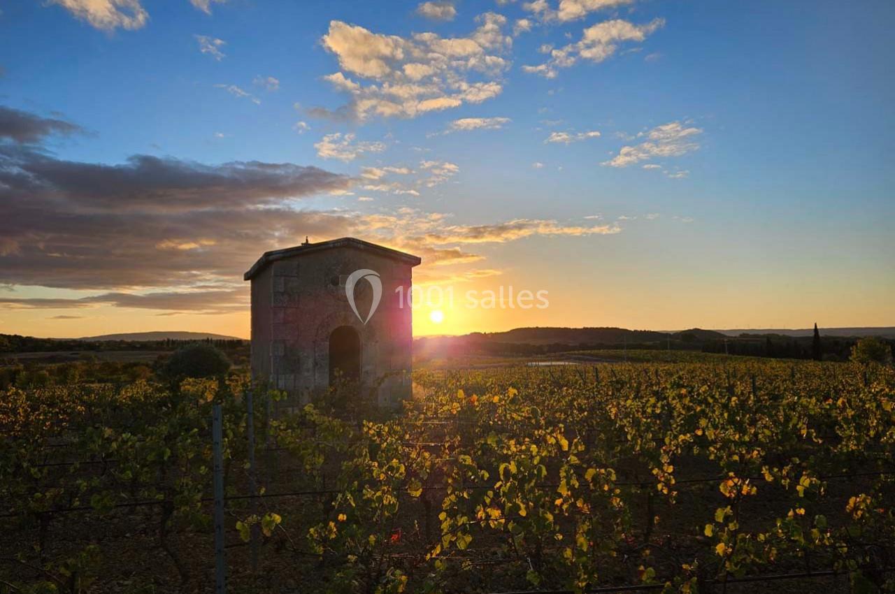 Location salle Rieux-Minervois (Aude) - Domaine Saint Augustin  #8