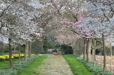 Location salle Chemilli (Orne) - Jardins du Montperthuis #47