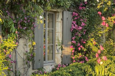 Location salle Chemilli (Orne) - Jardins du Montperthuis #47