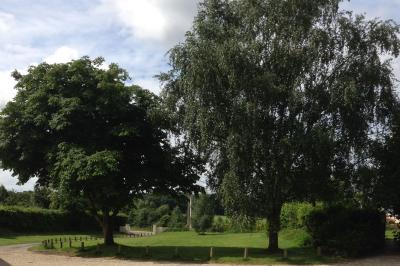 Deux grands arbres bordent une pelouse verdoyante sous un ciel partiellement nuageux.
