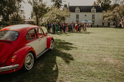 Rangées de tonneaux en bois alignés dans une cave voûtée avec éclairage tamisé.
