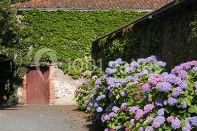 Rangées de tonneaux en bois alignés dans une cave voûtée avec éclairage tamisé.