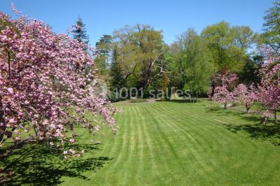 Rangées de tonneaux en bois alignés dans une cave voûtée avec éclairage tamisé.