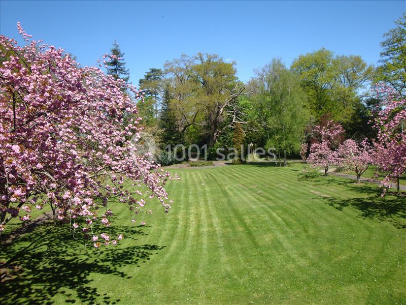 Pelouse verte bien entretenue entourée d'arbres et de cerisiers en fleurs dans un parc sous un ciel dégagé.
