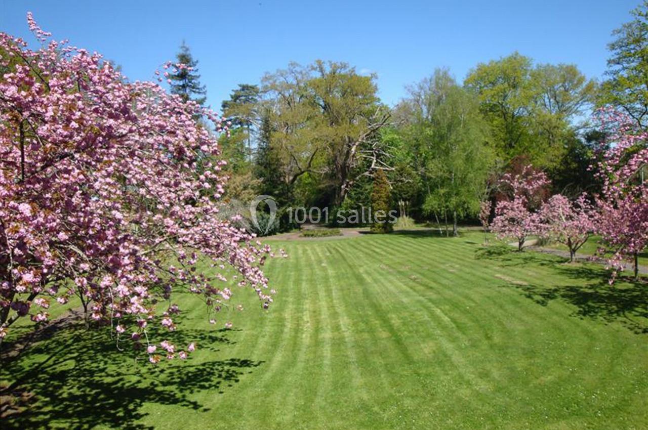 Pelouse verte entourée d'arbres et de cerisiers en fleurs dans un parc sous un ciel dégagé.