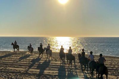 Photo Landes Attractivité #37