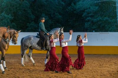 Photo Landes Attractivité #37