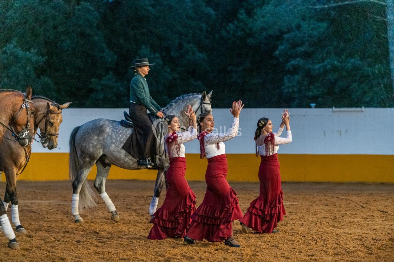 Photo Landes Attractivité #35