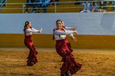 Location salle Mont-de-Marsan (Landes) - Landes Attractivité #48