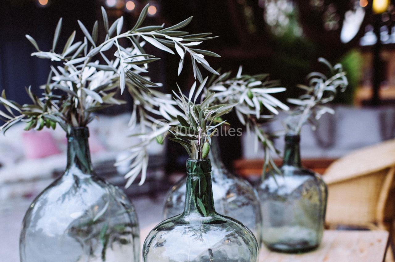 Quatre vases en verre vert contenant des branches d'olivier, posés sur une table en bois en extérieur.