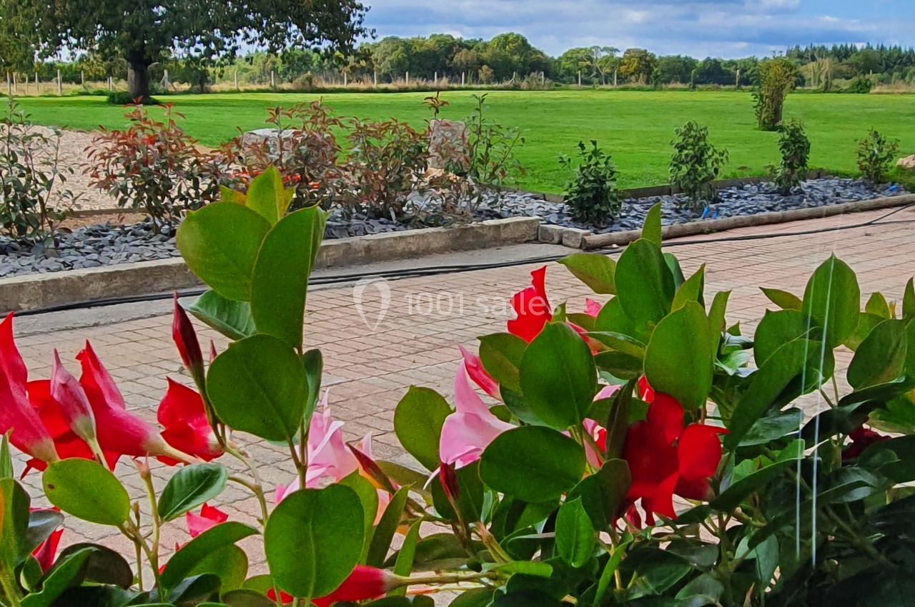 Plantes fleuries rouges et roses au premier plan, avec un arbre, une pelouse et un ciel partiellement nuageux en arrière…