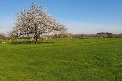 Bâtiments en colombages et en briques avec toiture en ardoise, entourés de végétation sous un ciel partiellement nuageux.