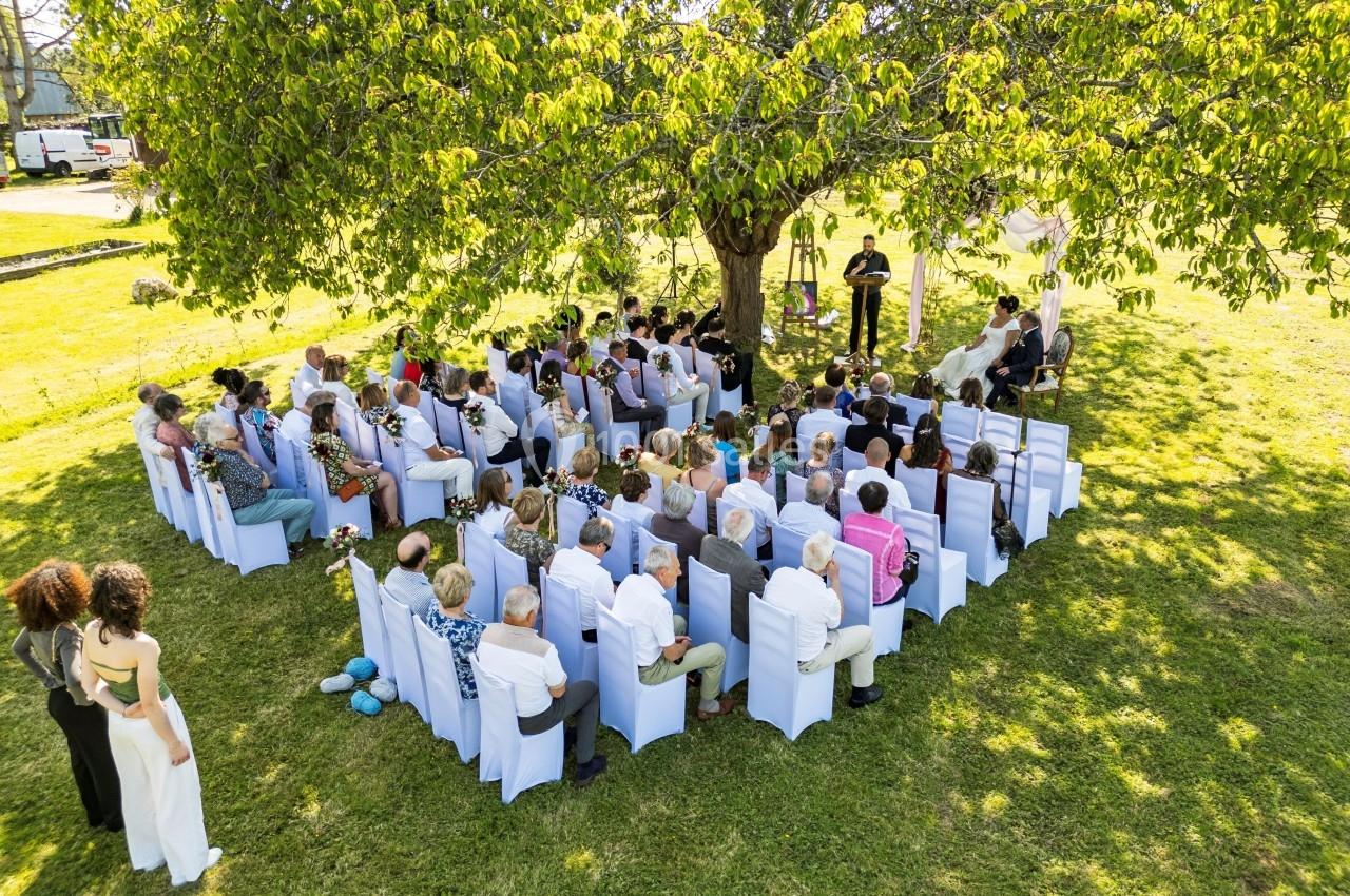 Cérémonie de mariage en plein air sous un grand arbre, avec des invités assis sur des chaises blanches.