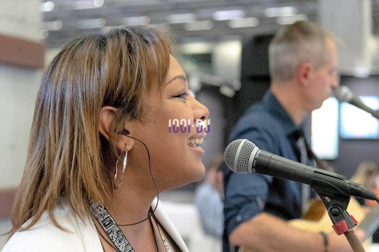 DJ Le Perreux-sur-Marne (Val-de-Marne) - Artmove Musiker #6