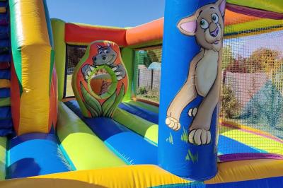 Structure gonflable jungle avec animaux et toboggan, entourée de feuilles, avec détails de location et caractéristiques.