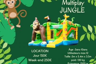 Structure gonflable jungle avec animaux et toboggan, entourée de feuilles, avec détails de location et caractéristiques.