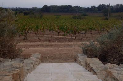 Location salle Rieux-Minervois (Aude) - Domaine Saint Augustin #30