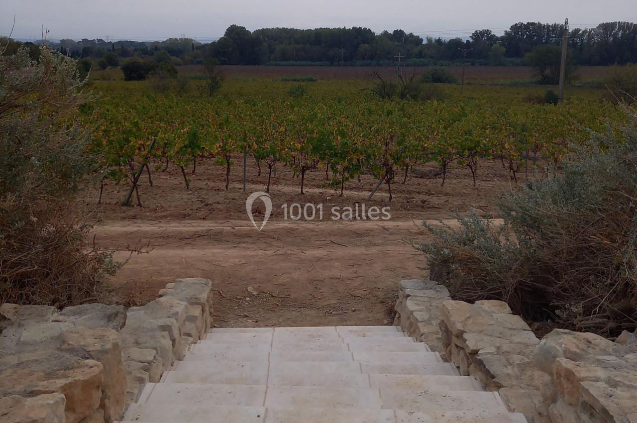 Location salle Rieux-Minervois (Aude) - Domaine Saint Augustin #29