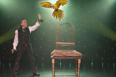 Alphonse le magicien Alphonse le magicien