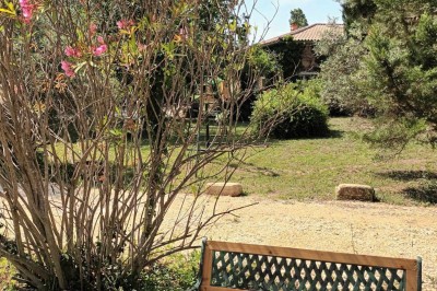 Salon lumineux avec mobilier en résine tressée, plantes vertes, tapis rond en jute et rideaux sombres.