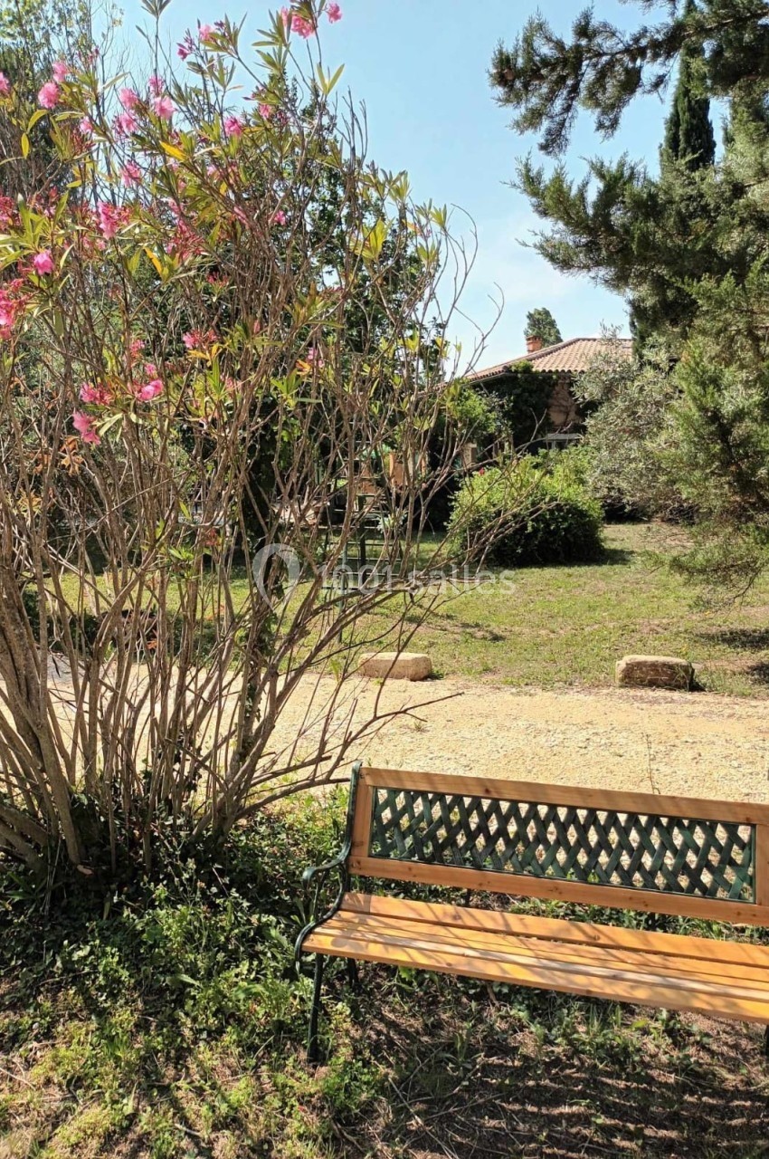 Banc en bois et métal devant un arbuste fleuri, dans un jardin ensoleillé avec des arbres en arrière-plan.