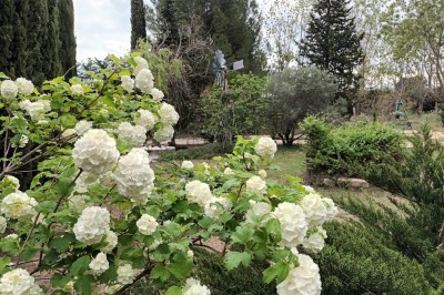 Salon lumineux avec mobilier en résine tressée, plantes vertes, tapis rond en jute et rideaux sombres.