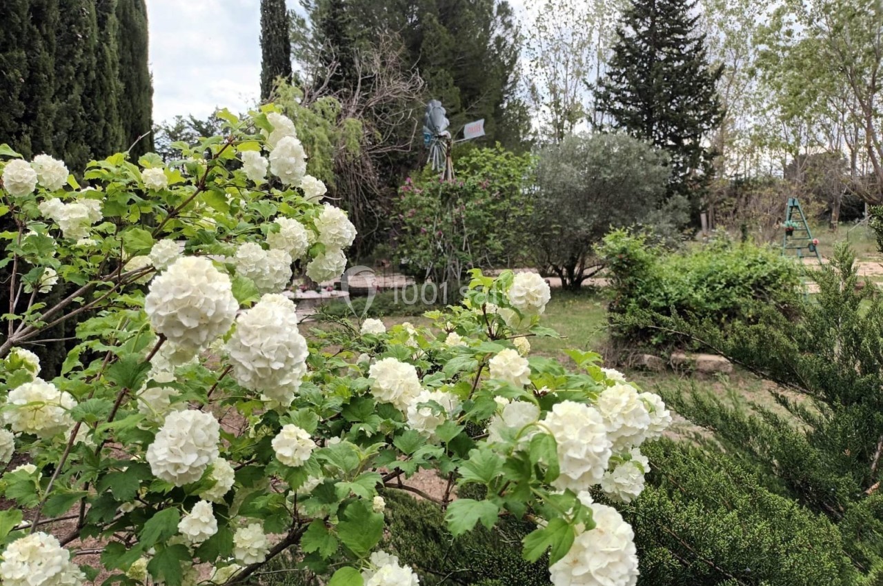 Arbuste en fleurs blanches dans un jardin verdoyant avec des arbres et des éléments décoratifs en arrière-plan.