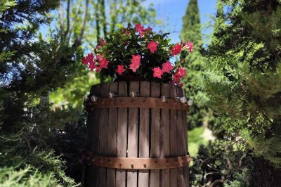 Salon lumineux avec mobilier en résine tressée, plantes vertes, tapis rond en jute et rideaux sombres.