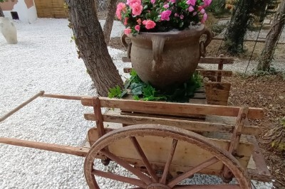 Salon lumineux avec mobilier en résine tressée, plantes vertes, tapis rond en jute et rideaux sombres.