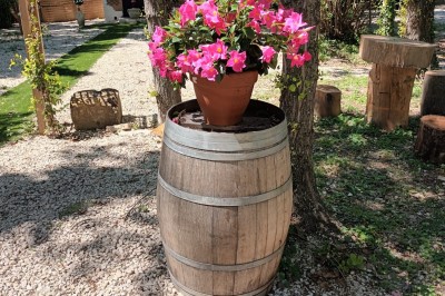 Salon lumineux avec mobilier en résine tressée, plantes vertes, tapis rond en jute et rideaux sombres.